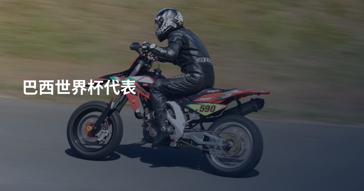 巴西世界杯代表