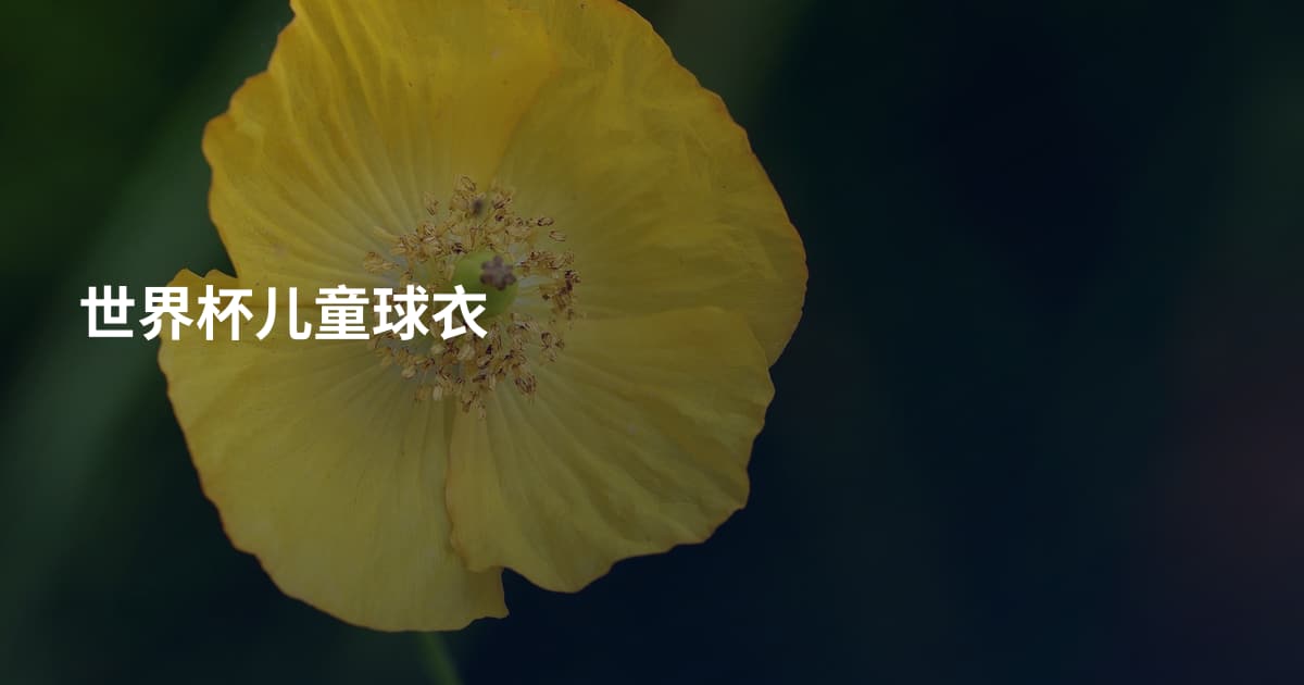 世界杯儿童球衣