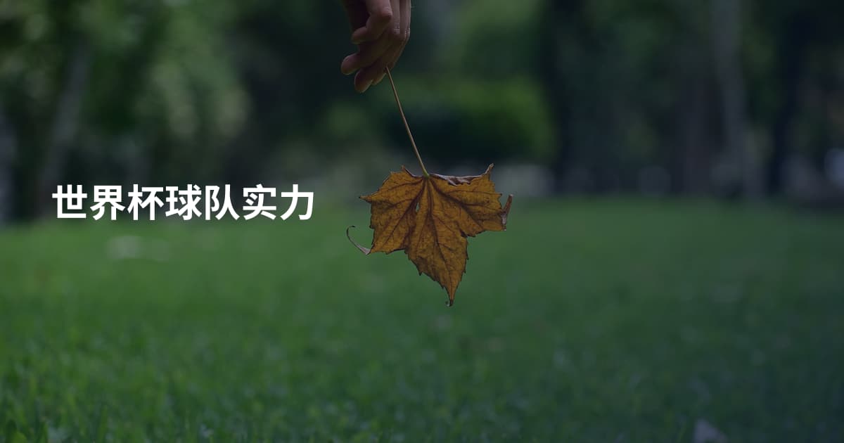 世界杯球队实力