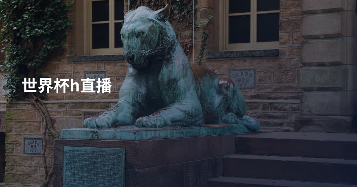 世界杯h直播