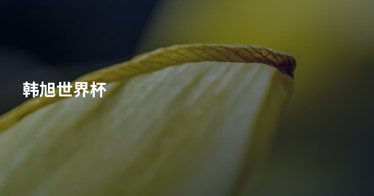 韩旭世界杯