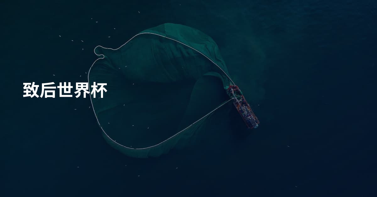致后世界杯