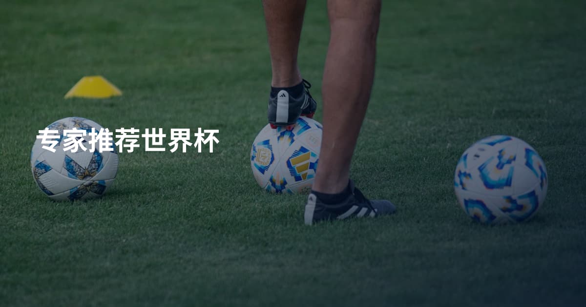 专家推荐世界杯