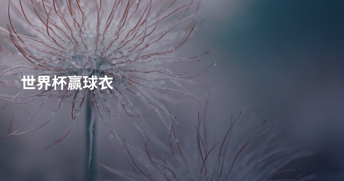 世界杯赢球衣