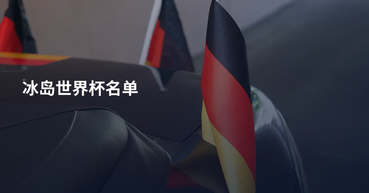 冰岛世界杯名单