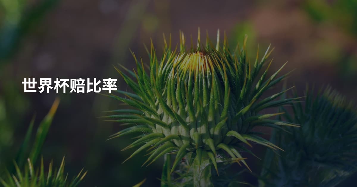 世界杯赔比率