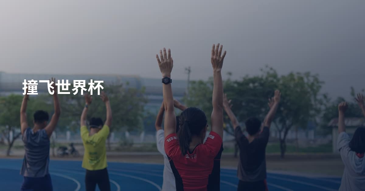 撞飞世界杯