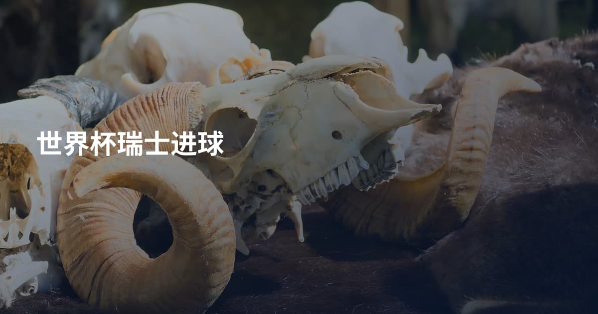 世界杯瑞士进球