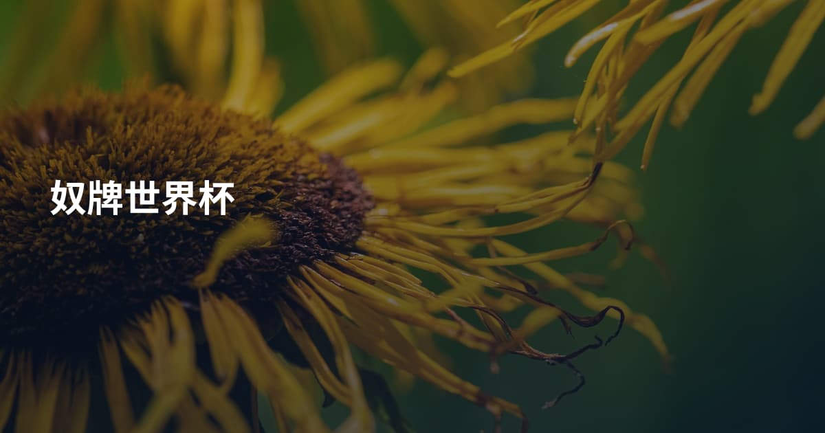 奴牌世界杯