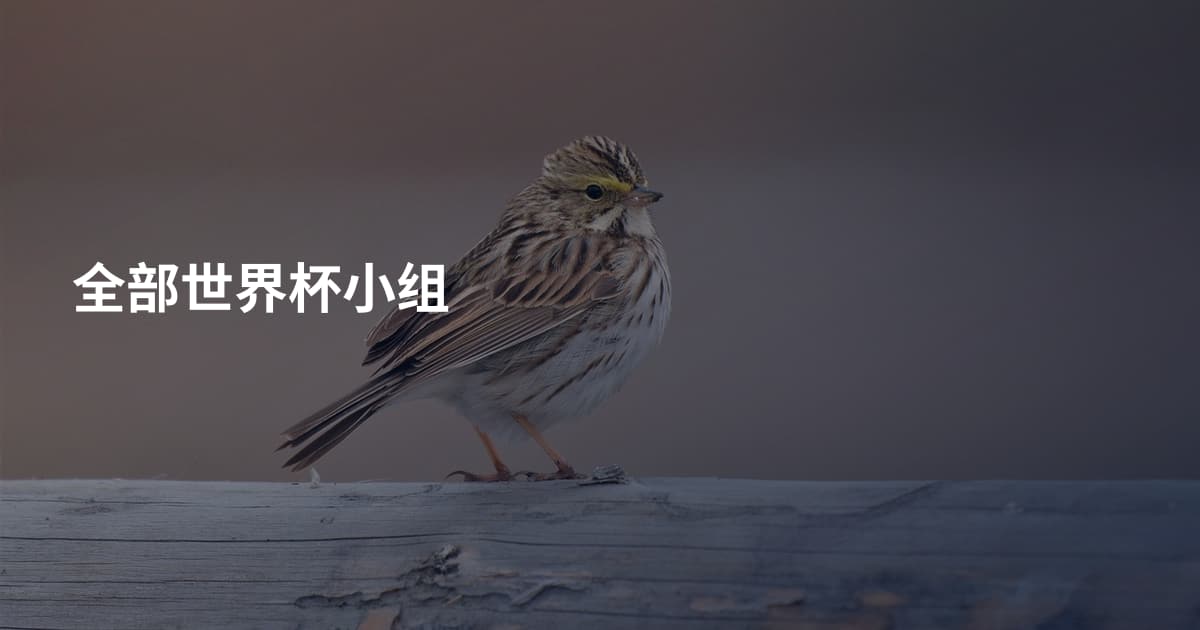 全部世界杯小组