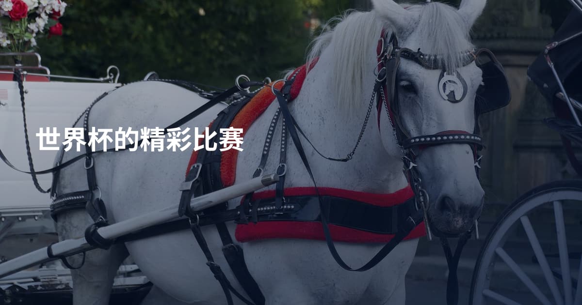 世界杯的精彩比赛