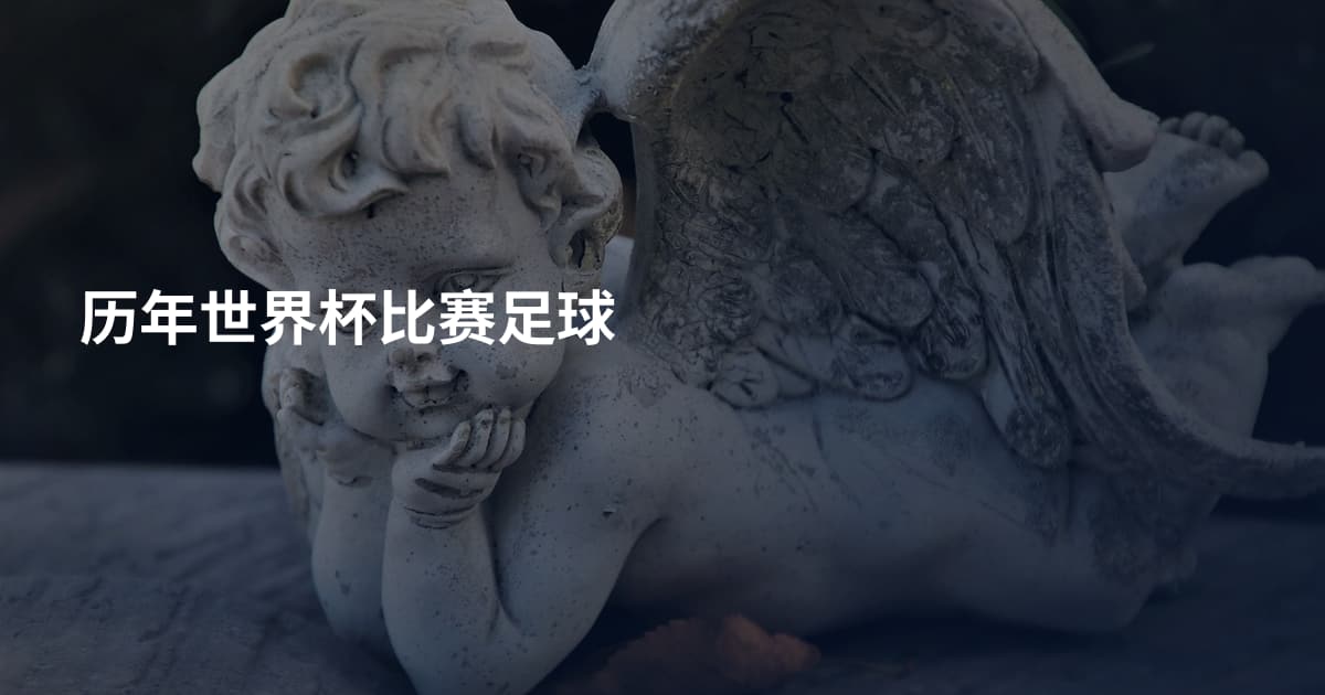 历年世界杯比赛足球