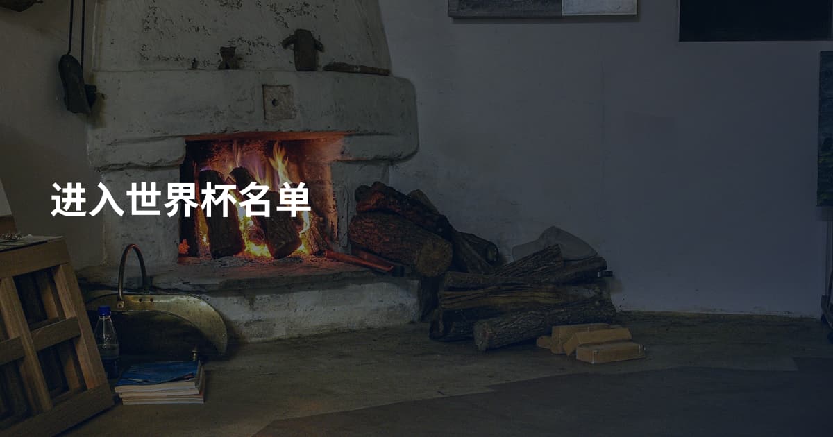 进入世界杯名单