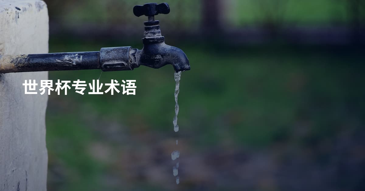 世界杯专业术语