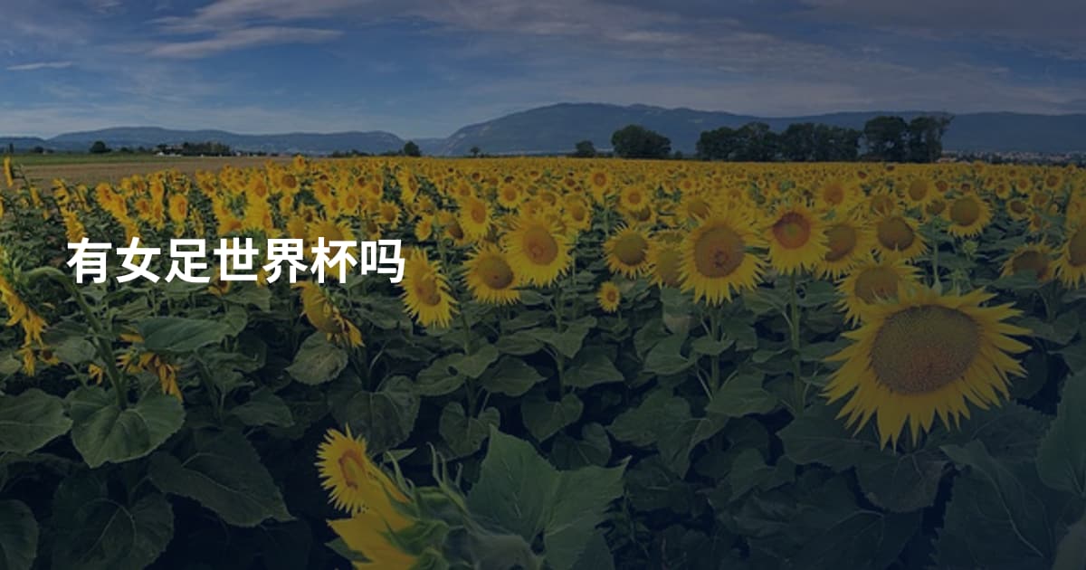 有女足世界杯吗