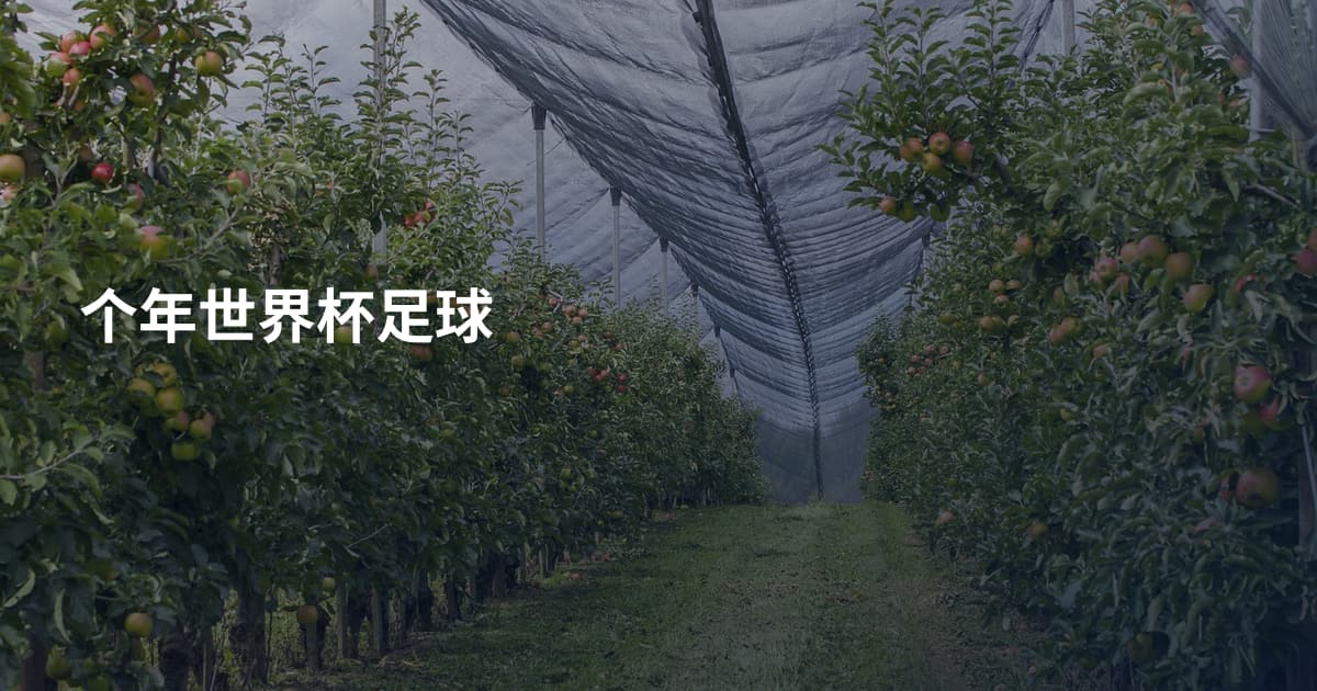 个年世界杯足球