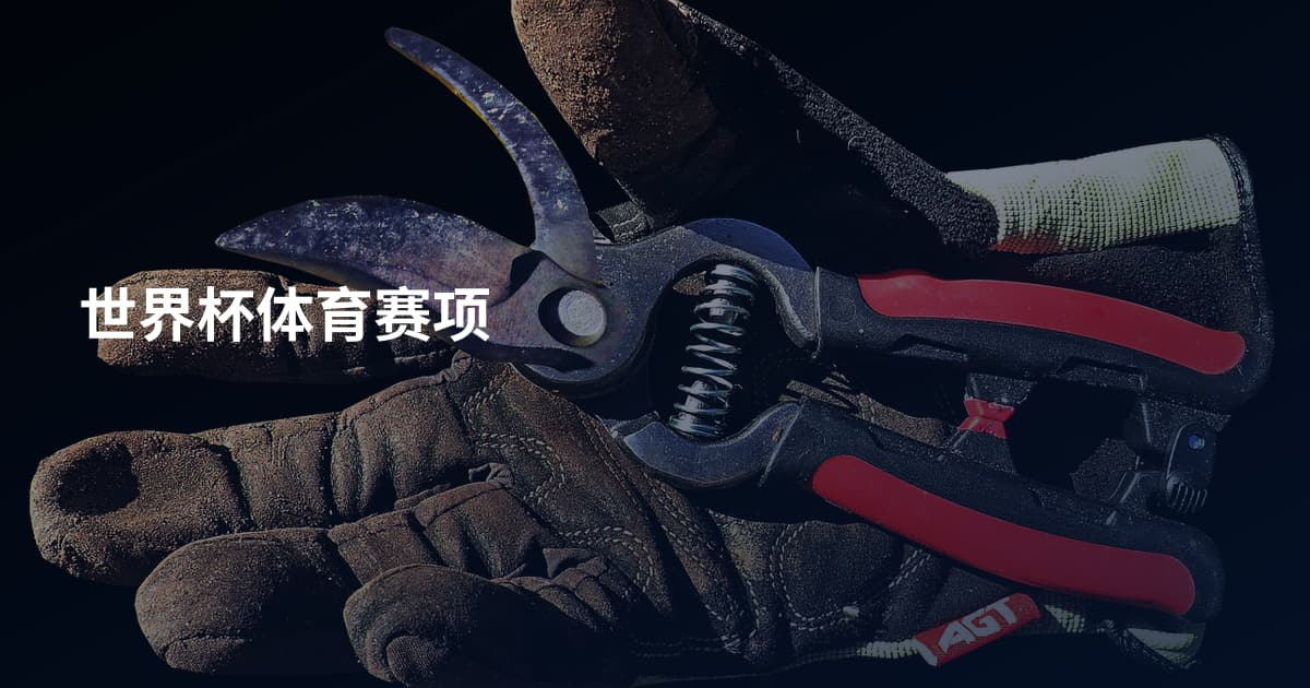 世界杯体育赛项