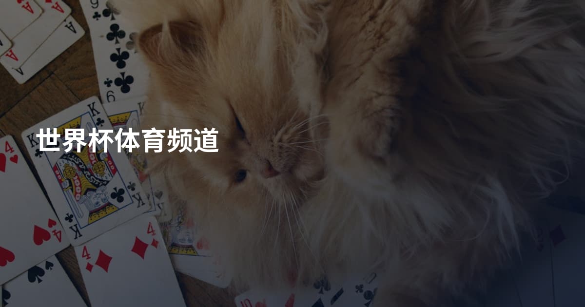 世界杯体育频道