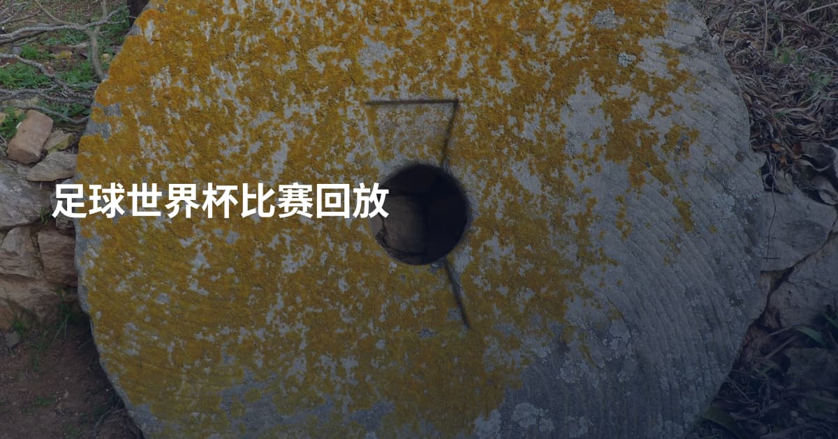 足球世界杯比赛回放