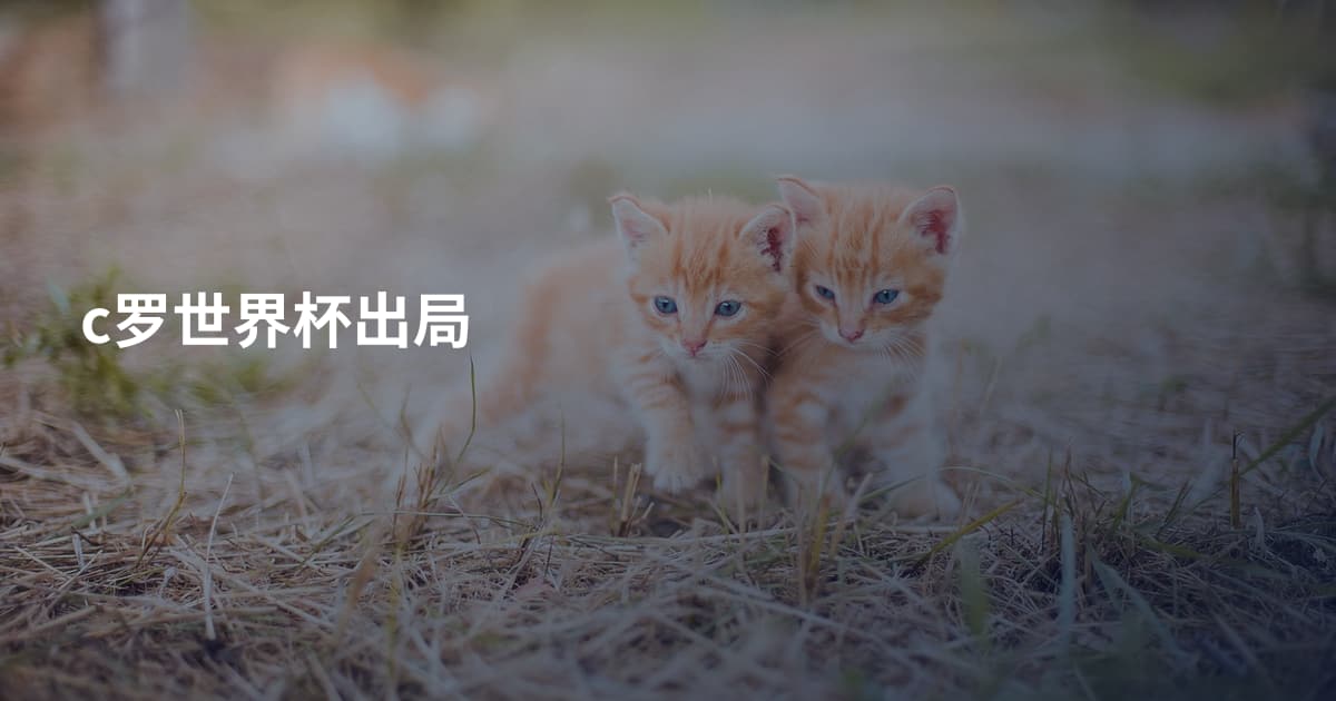 c罗世界杯出局
