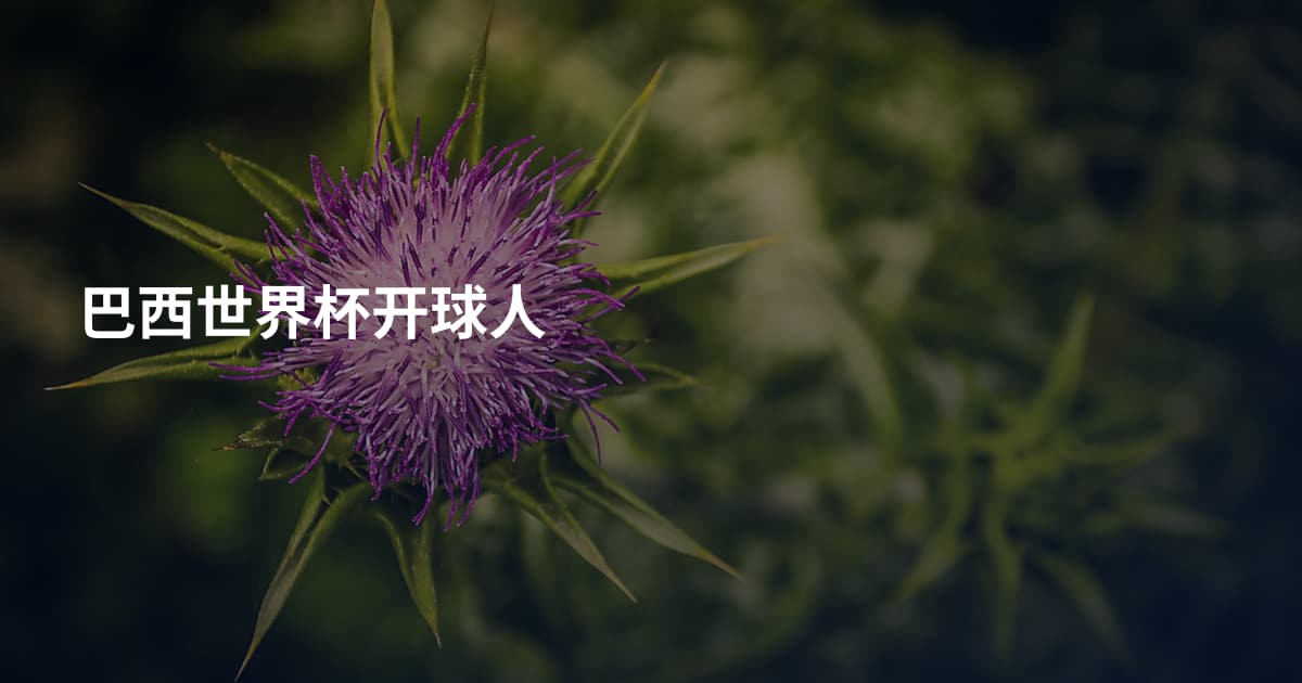 巴西世界杯开球人