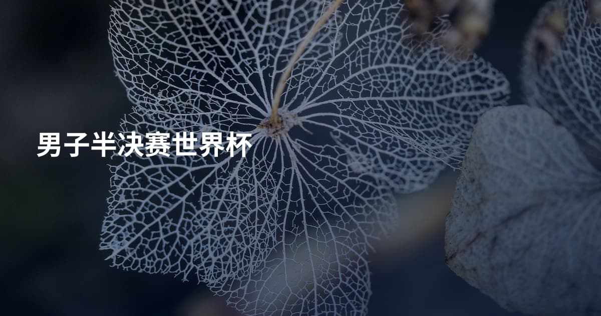 男子半决赛世界杯
