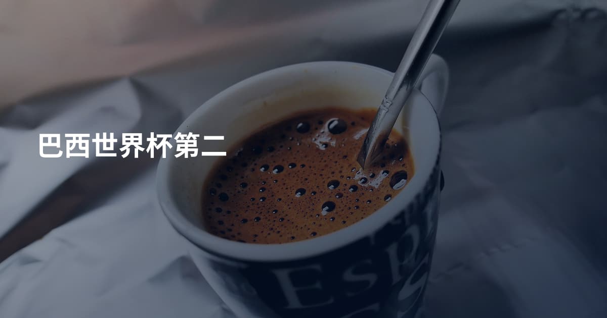 巴西世界杯第二