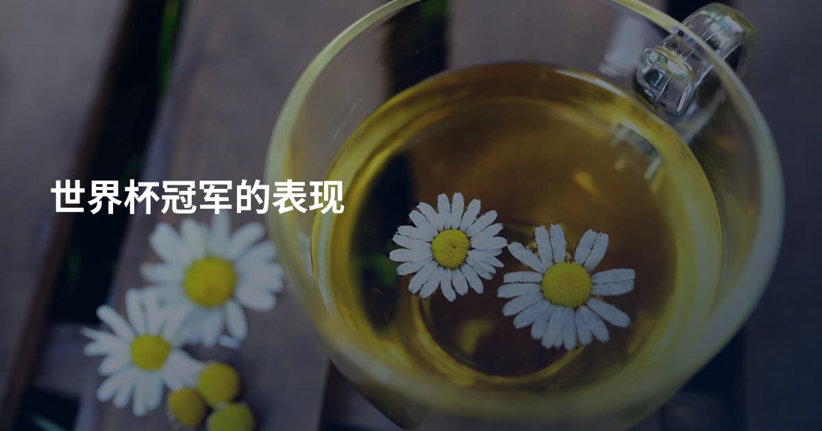 世界杯冠军的表现