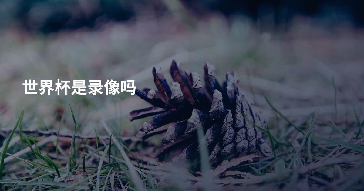 世界杯是录像吗