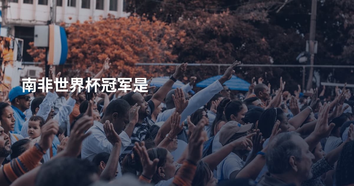 南非世界杯冠军是
