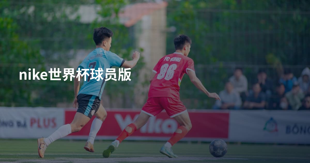 nike世界杯球员版