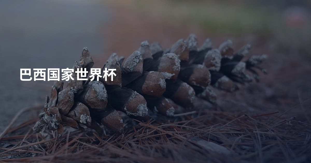 巴西国家世界杯