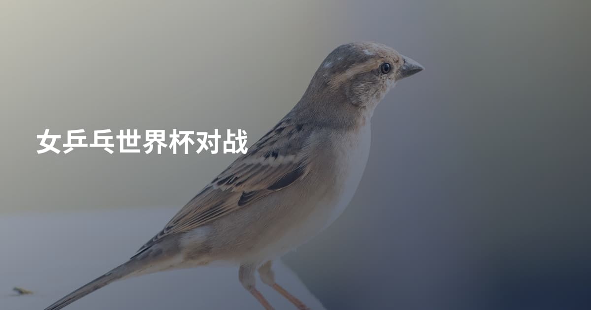 女乒乓世界杯对战