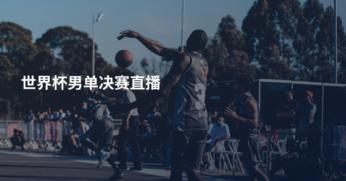 世界杯男单决赛直播