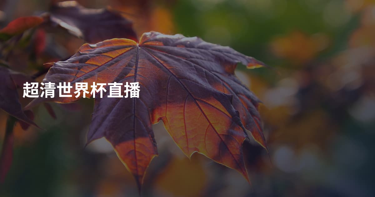 超清世界杯直播