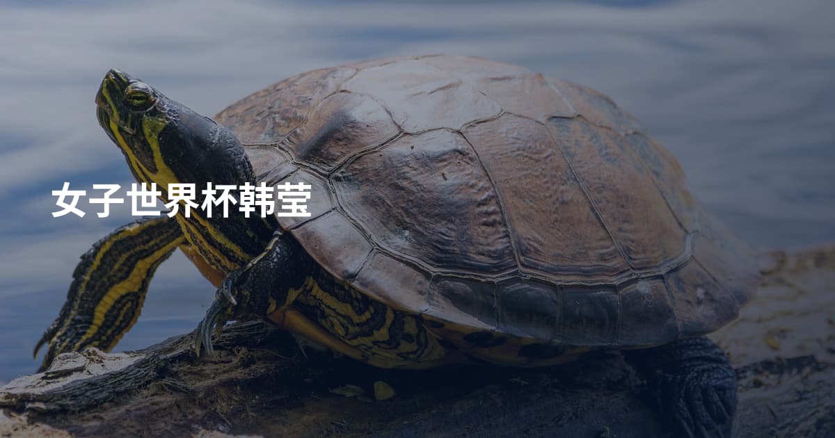 女子世界杯韩莹