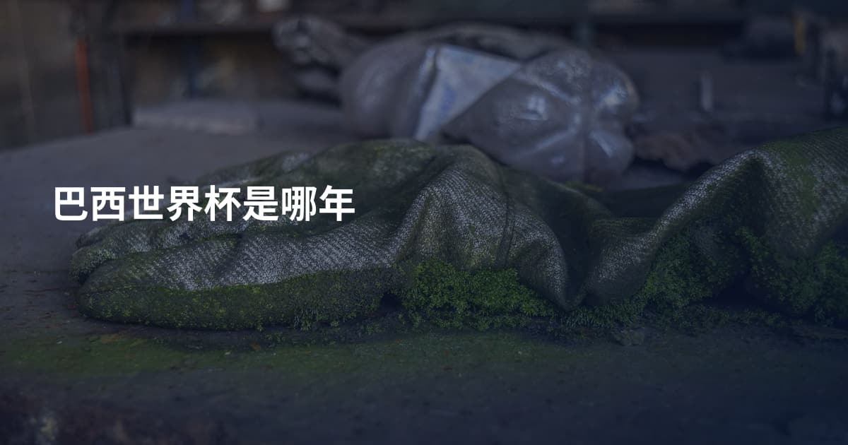 巴西世界杯是哪年