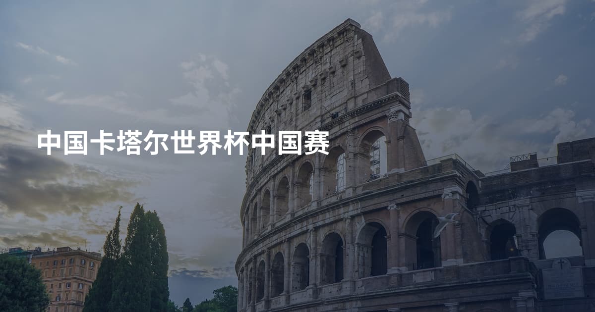 中国卡塔尔世界杯中国赛