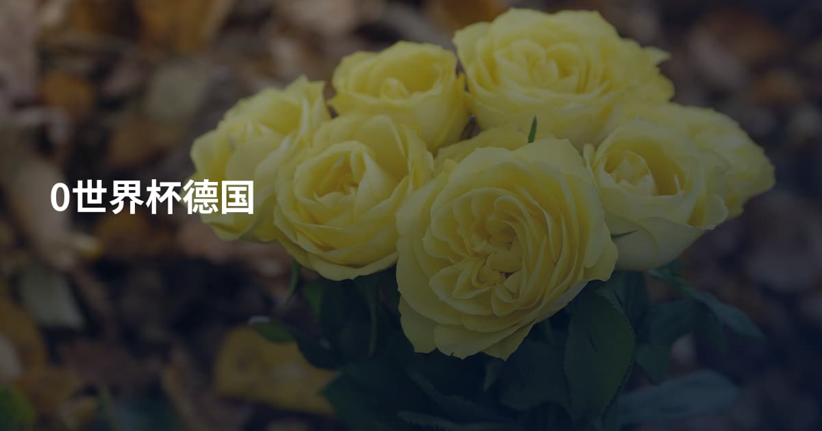0世界杯德国
