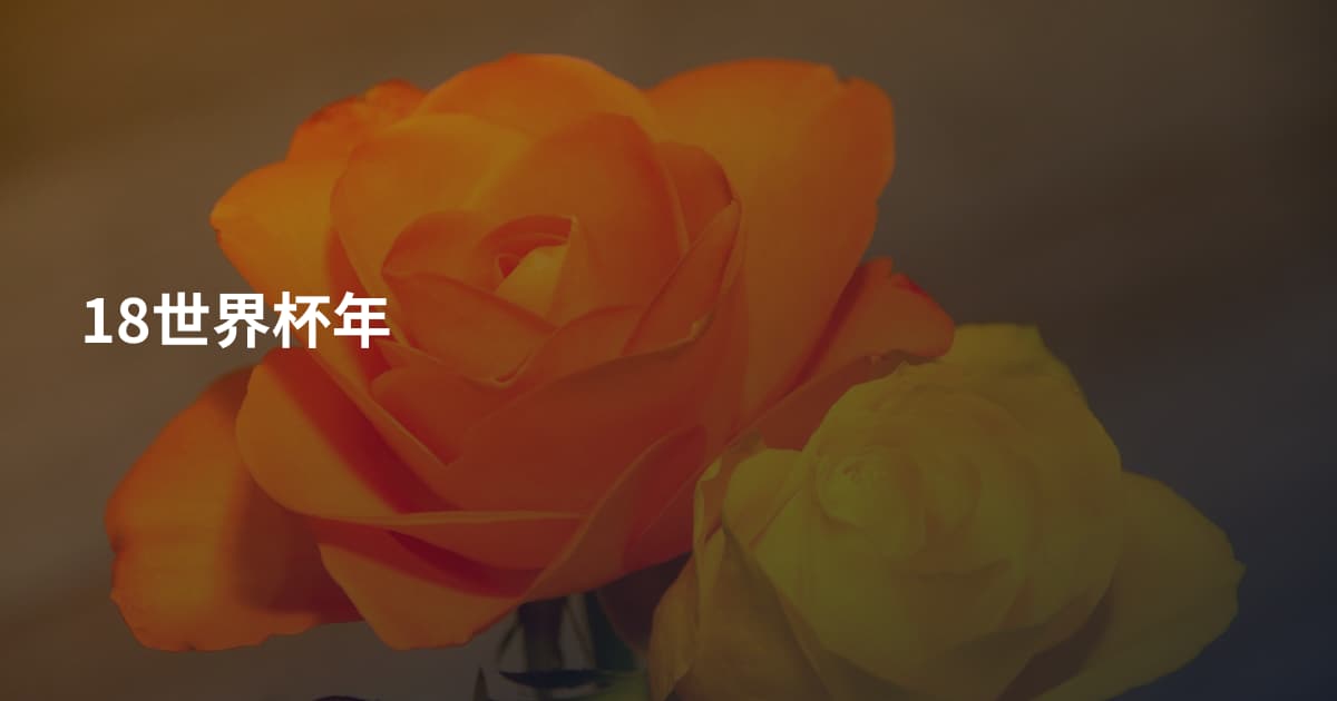 18世界杯年
