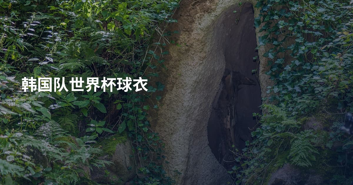 韩国队世界杯球衣