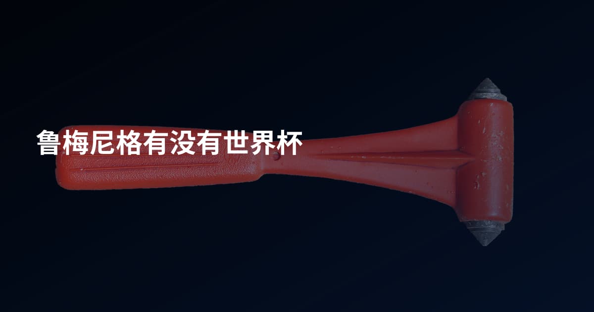 鲁梅尼格有没有世界杯