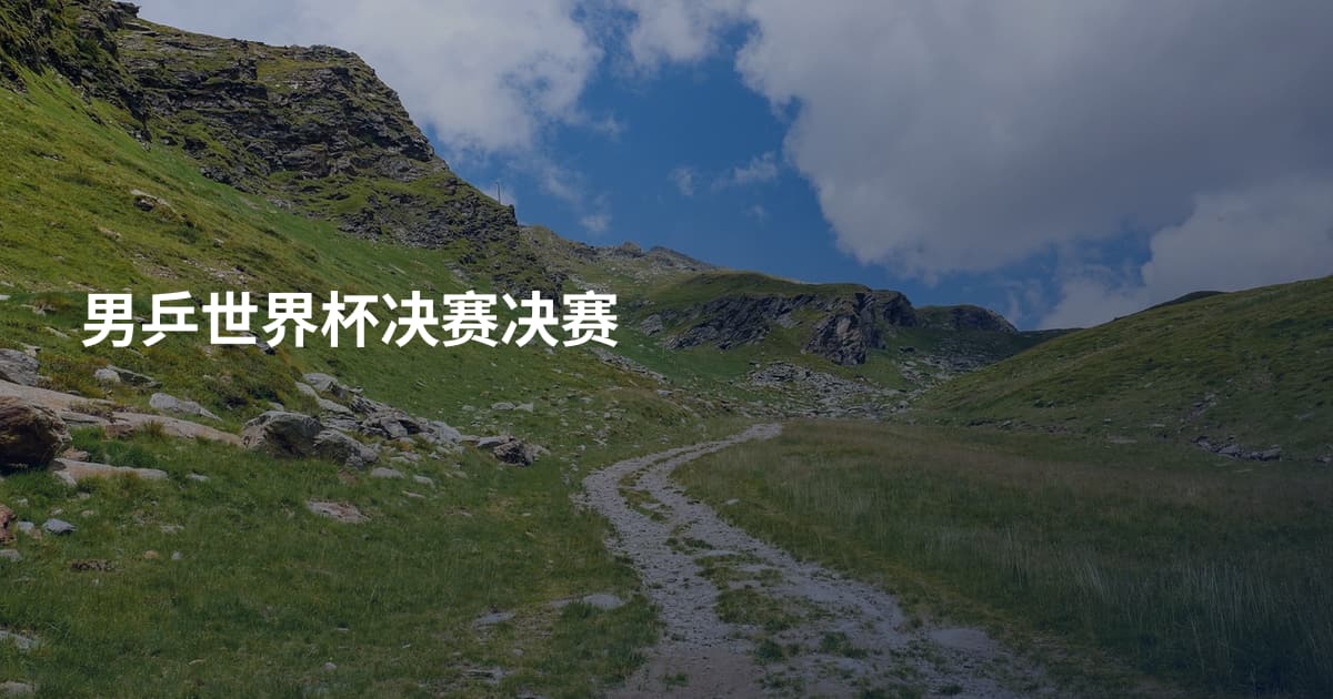 男乒世界杯决赛决赛