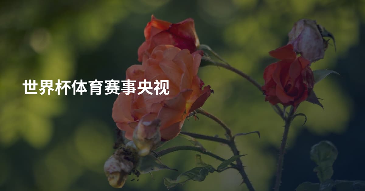 世界杯体育赛事央视