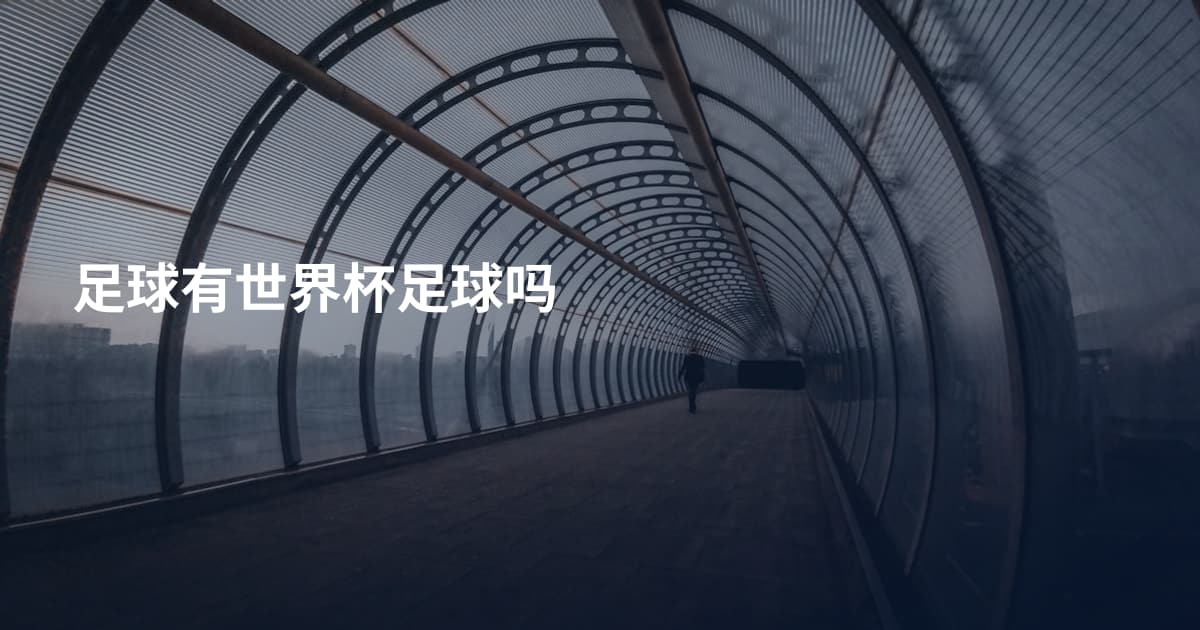 足球有世界杯足球吗