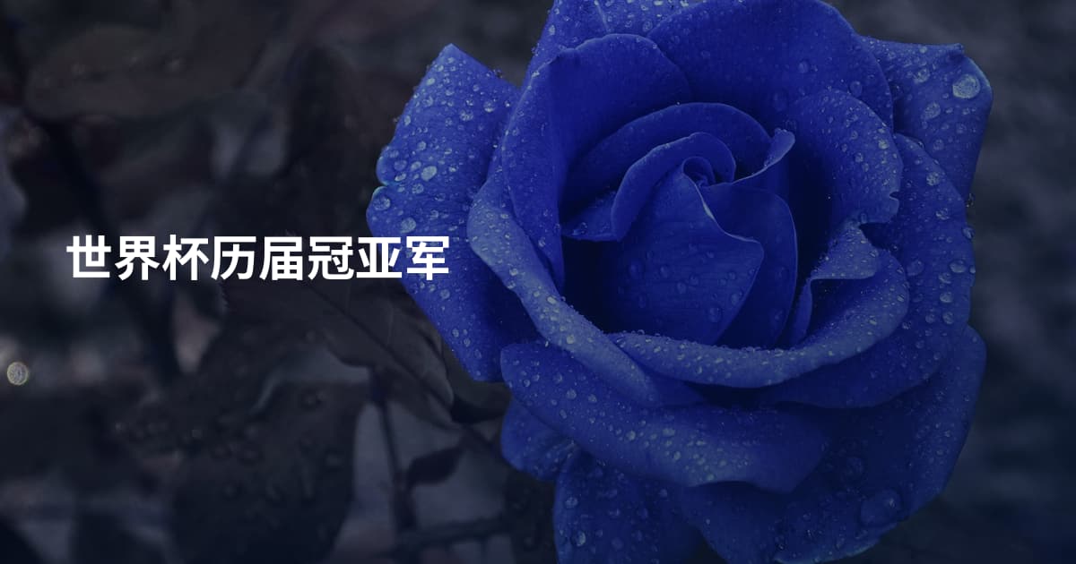 世界杯历届冠亚军