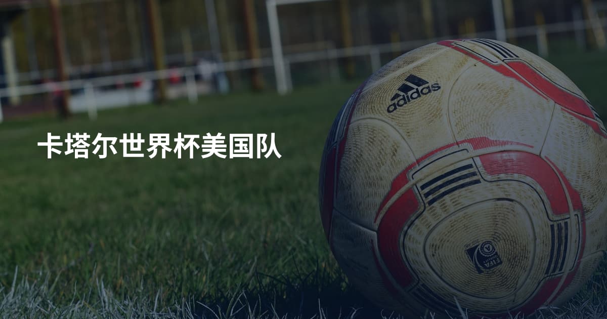 卡塔尔世界杯美国队