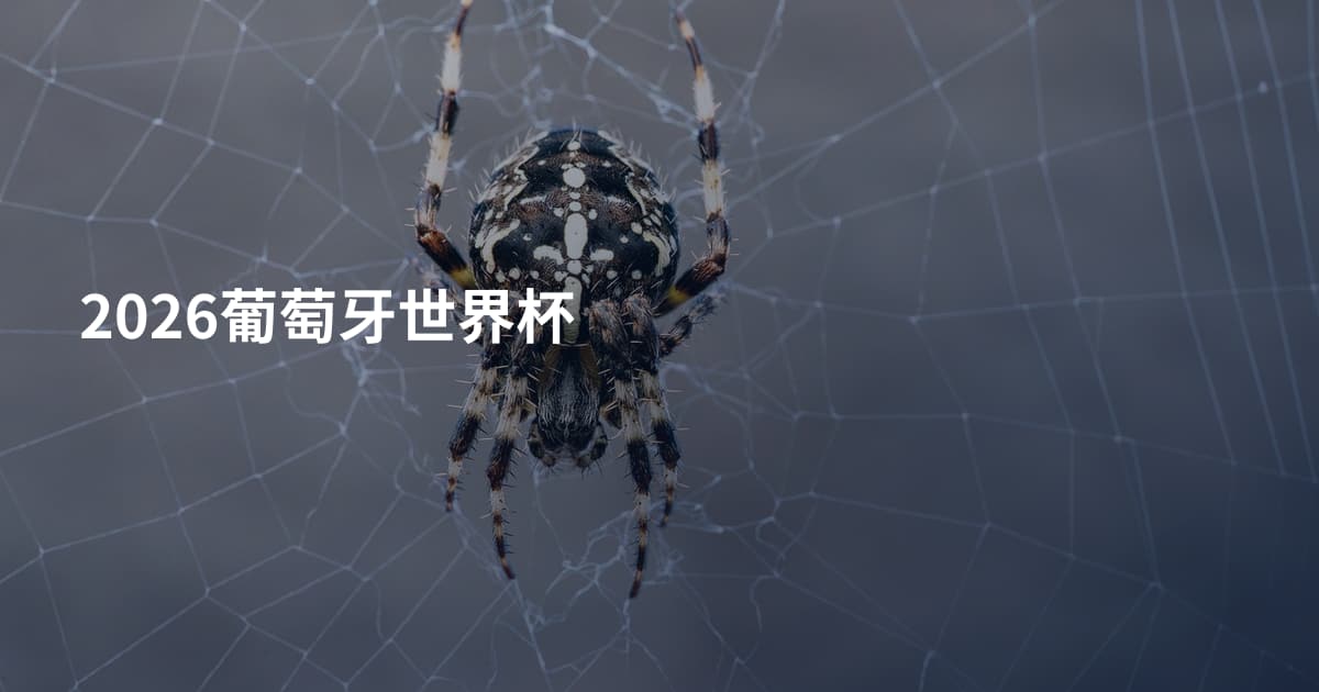 2026葡萄牙世界杯