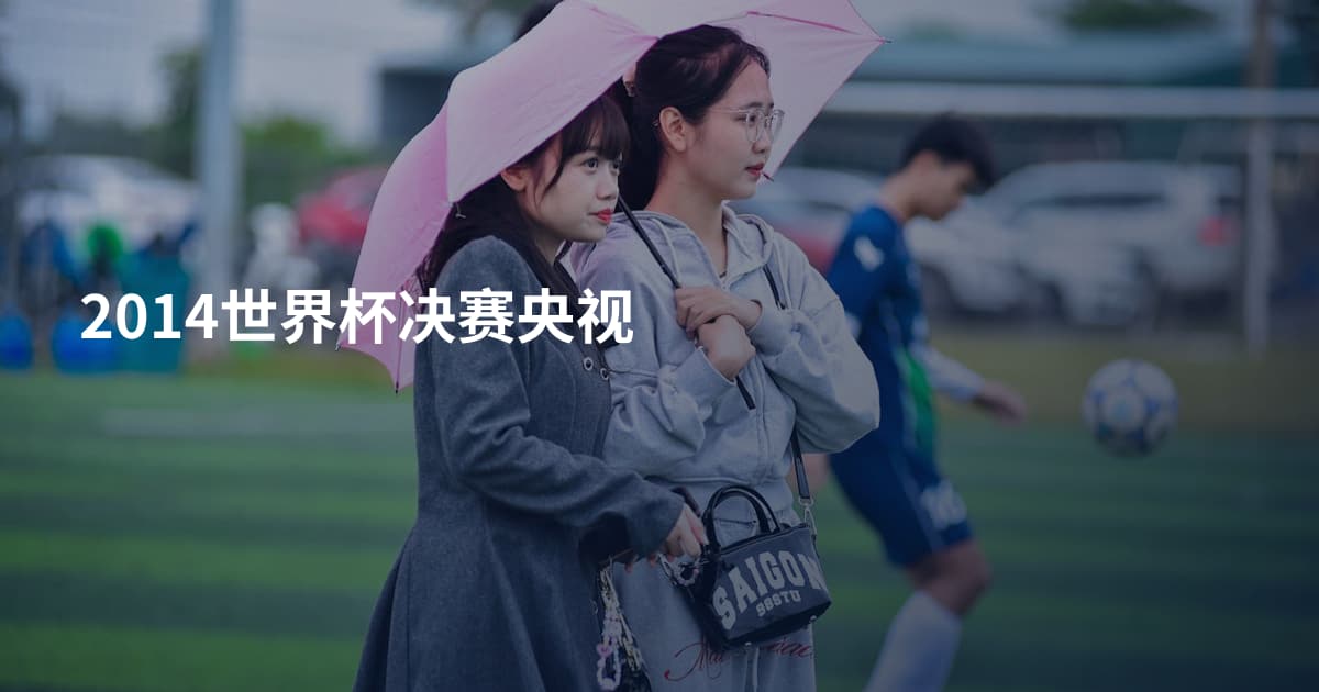 2014世界杯决赛央视
