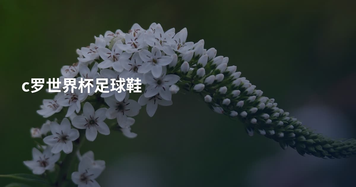 c罗世界杯足球鞋